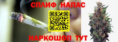 ECSTASY Канаш