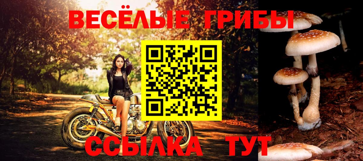 Псилоцибиновые грибы MAGIC MUSHROOMS Гурьевск