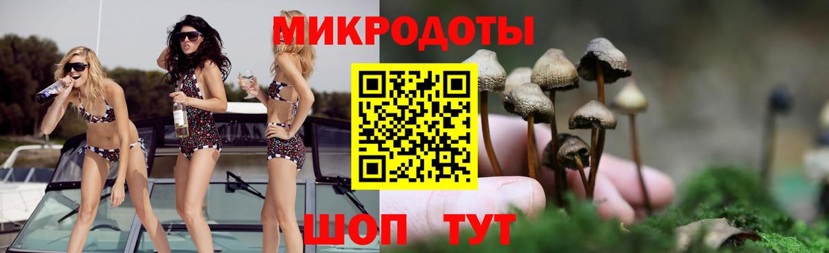 где найти   Вход с VPN  Гурьевск  Псилоцибиновые грибы ЛСД  Псилоцибиновые грибы Psilocybine cubensis 